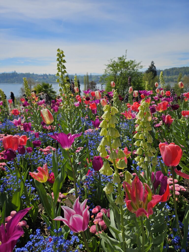 Blumenbouquet
